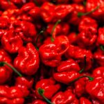 Peperoncino Carolina
