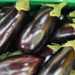 Pianta di Melanzana nera