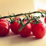 Pianta di Pomodoro ciliegino